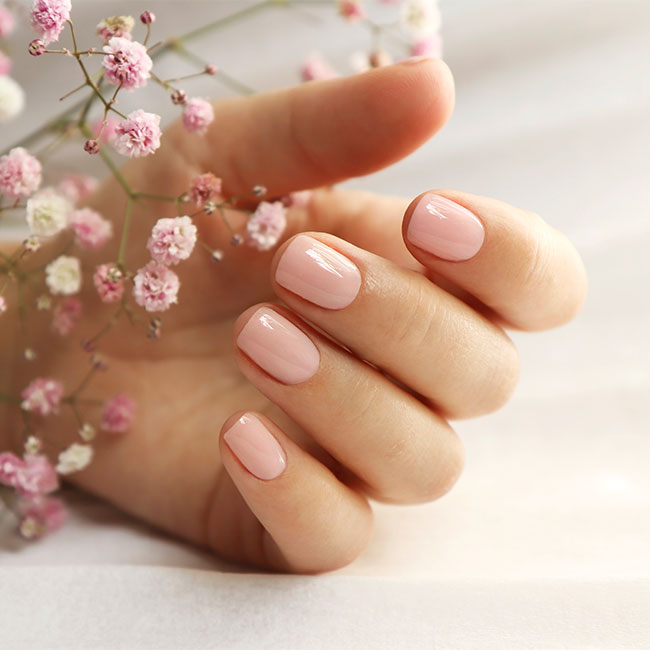 Soft pink glossy manicure beside pink baby's breath flowers