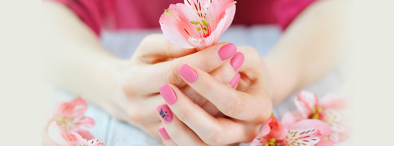 Hands with a glossy pink manicure holding a pink alstroemeria flower